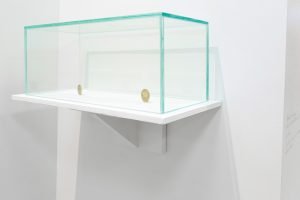 CECAZ EXPOSITION SOUS LA GLACE L'EAU - 31 JANVIER 2020 © Axel Ménard--3