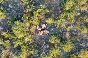 Born from earth, 2021