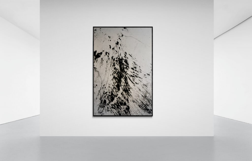 L’empreinte de Shiva, 2016